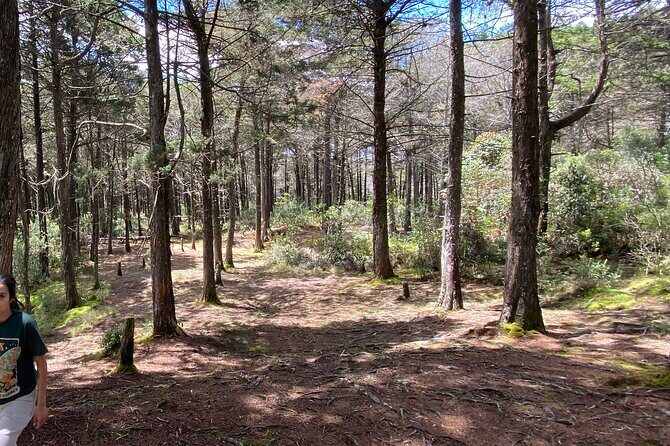 Nature Exploration and Healing Sounds in Santa Elena - Final Thoughts: Is It Worth It?