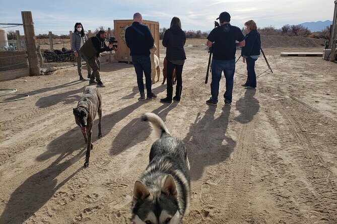 Nature Health Farms Alpaca Farm Petting Zoo Pahrump Death Valley - FAQ