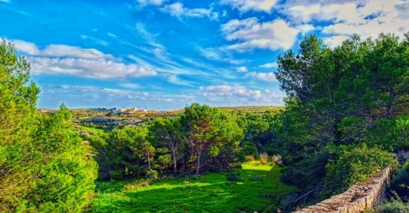 Nature Highlights Private Walking Tour with Transport - Who Will Enjoy This Tour?
