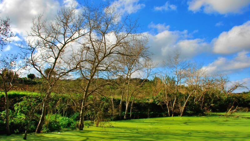 Nature Highlights Private Walking Tour with Transport - Final Thoughts: Why This Tour Is a Great Choice
