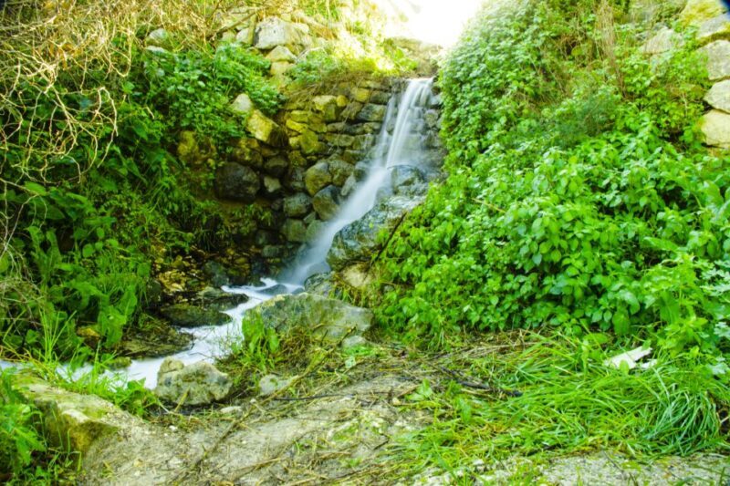 Nature Highlights Private Walking Tour with Transport - FAQs