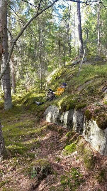 Nature Hike from Stockholm - The Sum Up: Is This the Right Tour for You?