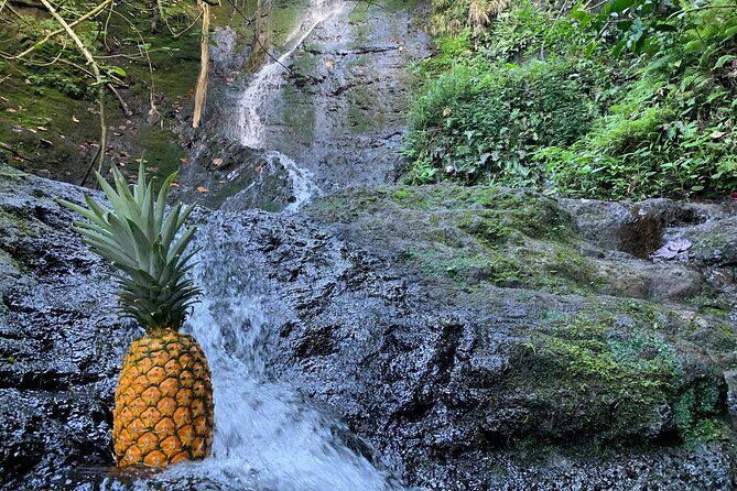 Nature Hike to Waterfall - Who Is This Tour Best For?