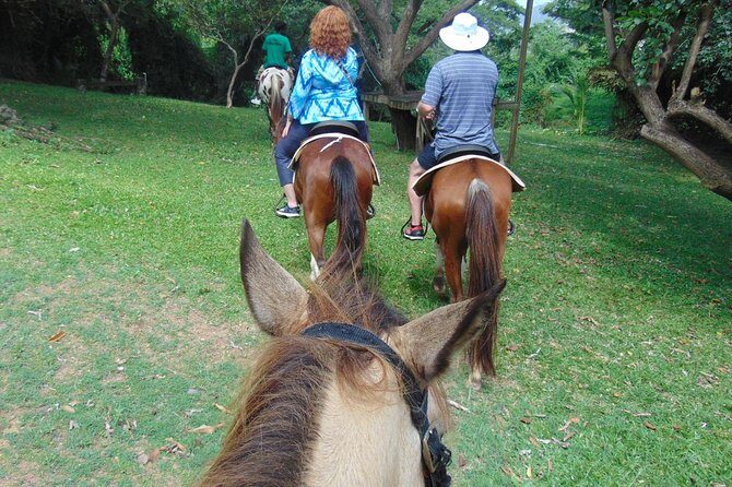Nature & Historical Horseback Riding Tours St. Lucia - FAQ Section