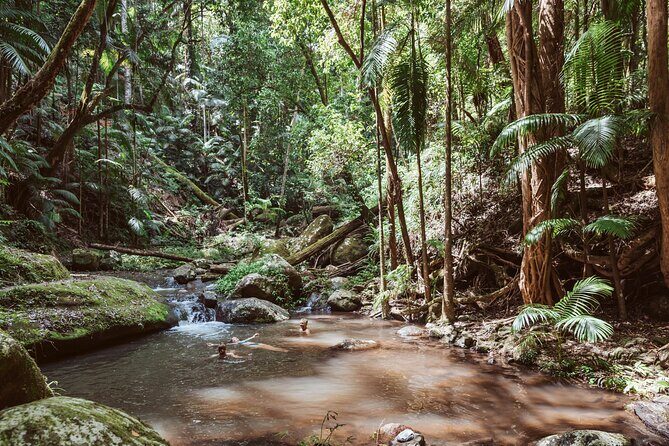 Nature Immersive Fully Catered Glamping Retreat - Exploring the Itinerary in Detail