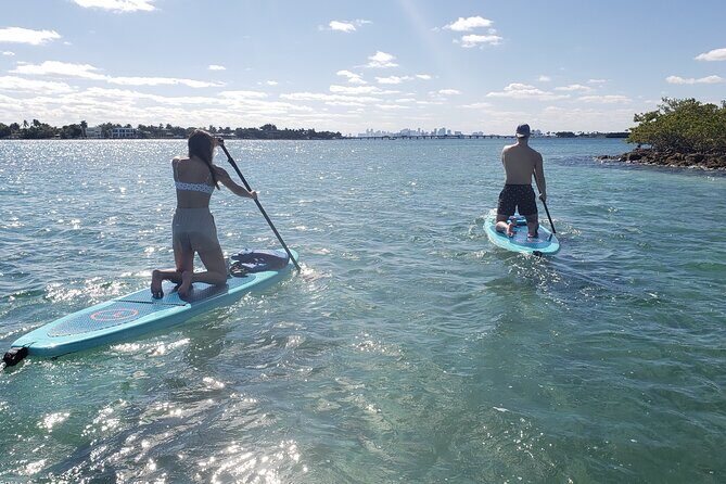 Nature & Island Exploration on SUP/Kayak - Who Will Love This Tour?