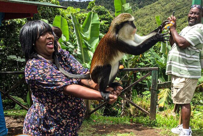 Nature Lovers: Grand Etang Lake & Annandale Falls - Key Points