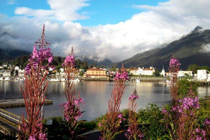 Nature Lovers Sitka Hiking Tour / Beaches, Trails + Scenic Points - Final Thoughts