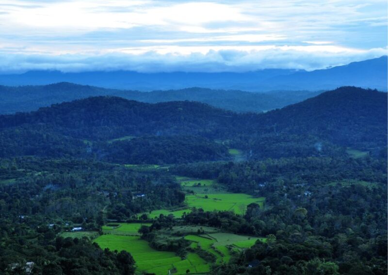 Nature & Spiritual Trails of Coorg (Guided Walking Tour) - A Close Look at the Experience