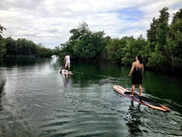 Nature Stand Up Paddle Boarding Experience in Miami - What’s Included and How It Works