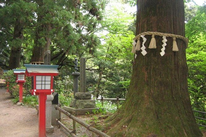 Nature tour at Mt. Takao - Who Should Consider This Tour?