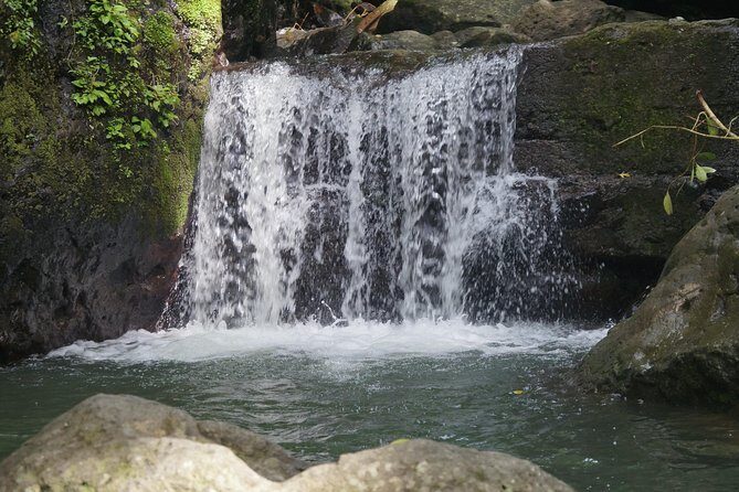 Nature Tour in Panama 6 Days of Adventure and Wildlife - Who Should Consider This Tour?