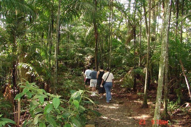 Nature Tour in Panama 6 Days of Adventure and Wildlife - FAQ