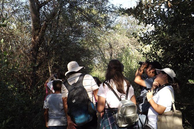 Nature tour, Pómac Forest with picnic breakfast included. - Key Points