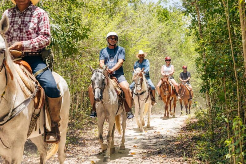 Nature Tour - Detailed Review of the Jungle Paradise Nature Tour
