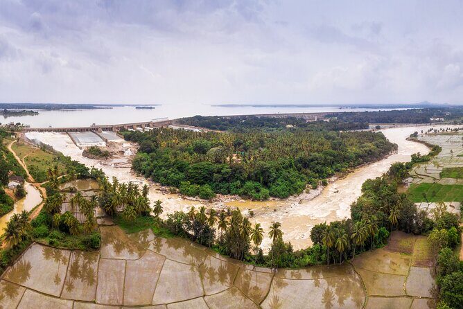 Nature Trails of Mysore (Guided Half Day City Sightseeing Tour) - Why Choose This Tour?
