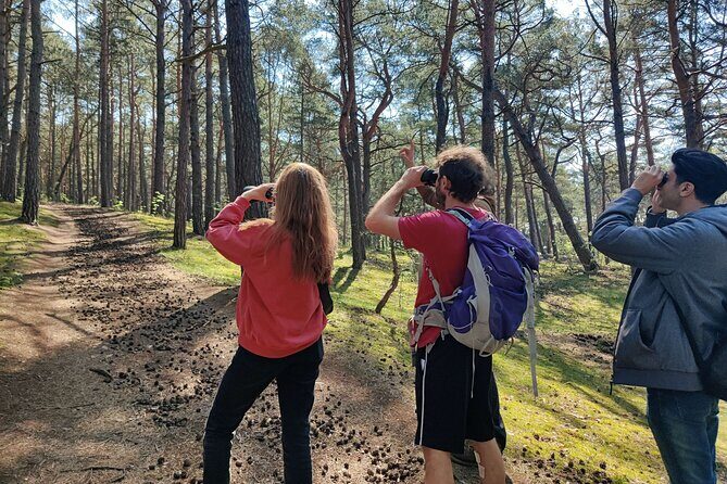 Nature Walk and Wildlife Tour in Sobieszewo Island - A Deep Dive into the Sobieszewo Island Wildlife Tour