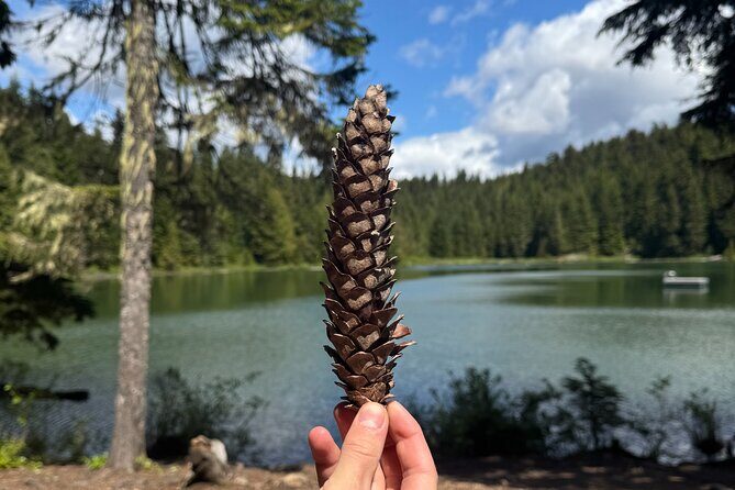 Nature Walk - Experience Whistler’s Natural Beauty with Trail Quest Adventures