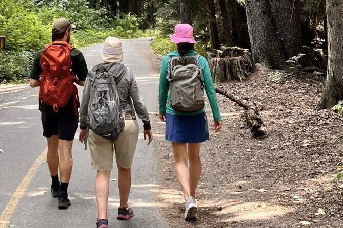 Nature Walk - Key Points