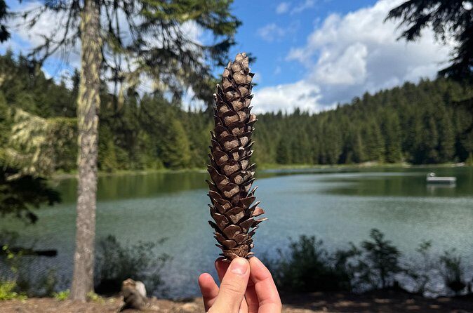 Nature Walk - Final Thoughts