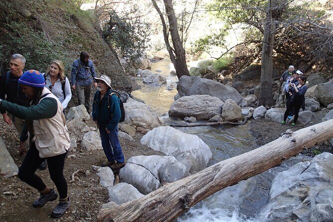 Nature Walk/Hike Tour near Disneyland: ID plants & wildlife - The Sum Up