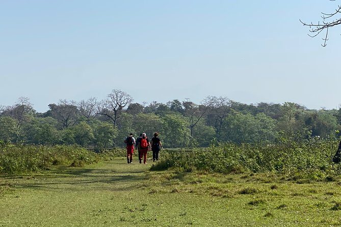 Nature Walk in Chitwan Jungle Safari with Guide - Analyzing the Value and Practicalities