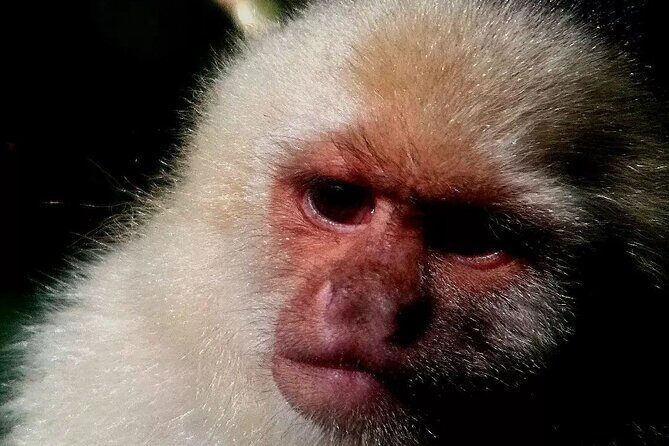 Nature walk in Curicancha Reserve - Key Points