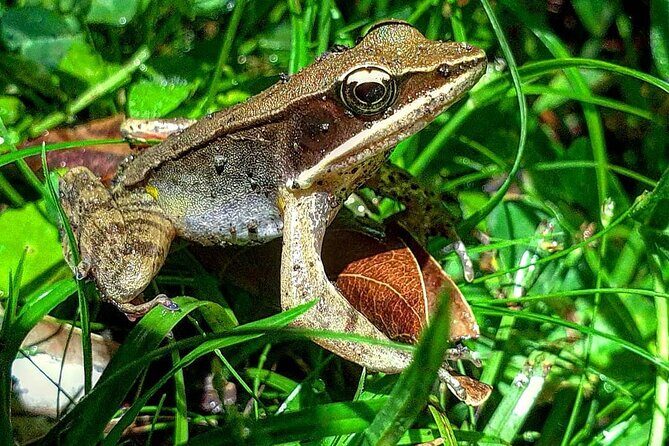 Nature walk in Curicancha Reserve - FAQ