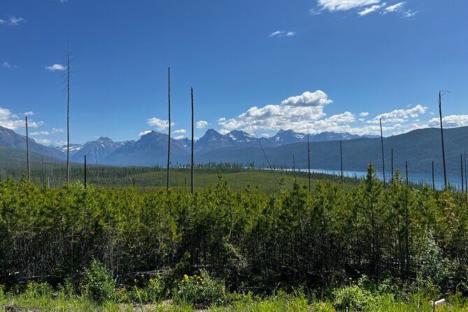 Nature Walk in Glacier National Park - Key Points
