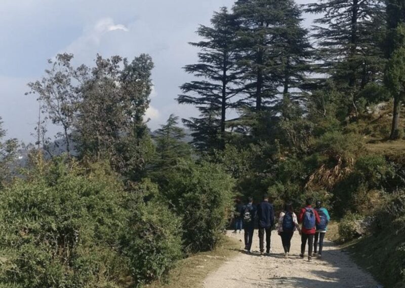 Nature Walk of Mussoorie (2 Hours Guided Walking Tour) - An In-Depth Look at the Mussoorie Nature Walk