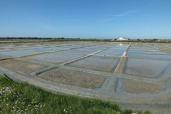 Nature walk to discover Noirmoutier and its charms - Key Points
