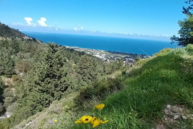 Nature Walking tour in the Mediterranean Cyprus-6days - An In-Depth Look at the 6-Day Cyprus Nature Walking Tour