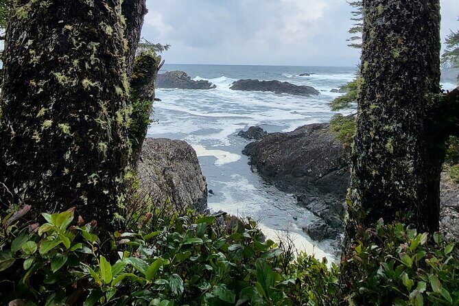 Nature Walks in Pacific - FAQ