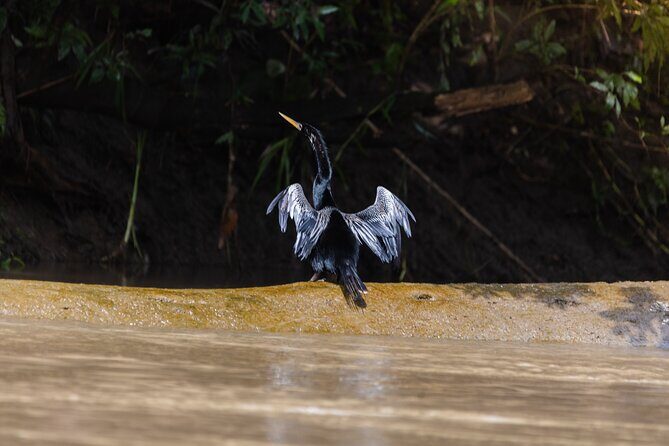 Nature Wildlife Safari Float Tour from La Fortuna-Arenal - Extended Description: What You Can Expect