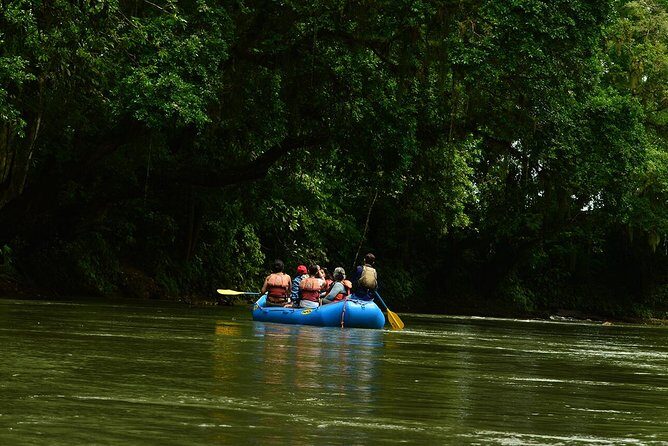 Nature Wildlife Safari Float Tour from La Fortuna-Arenal - Authentic Feedback from Travelers