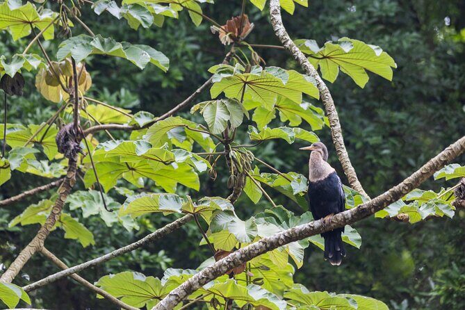 Nature Wildlife Safari Float Tour from La Fortuna-Arenal - FAQs