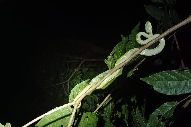 Naturegocr Monteverde - Key Points