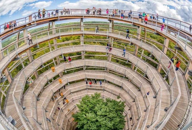 Naturerbe Zentrum Rügen & Treetop Walk Experience - Who Should Consider This Tour?