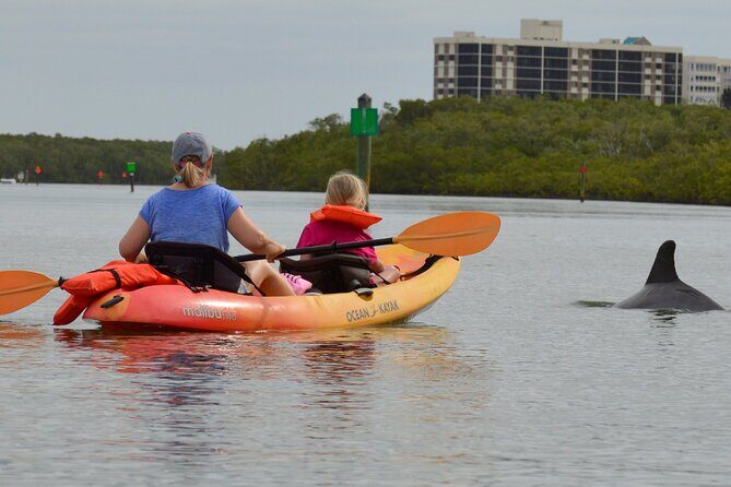 Nauti Exposures - Guided kayak tour through the Mangroves - FAQs