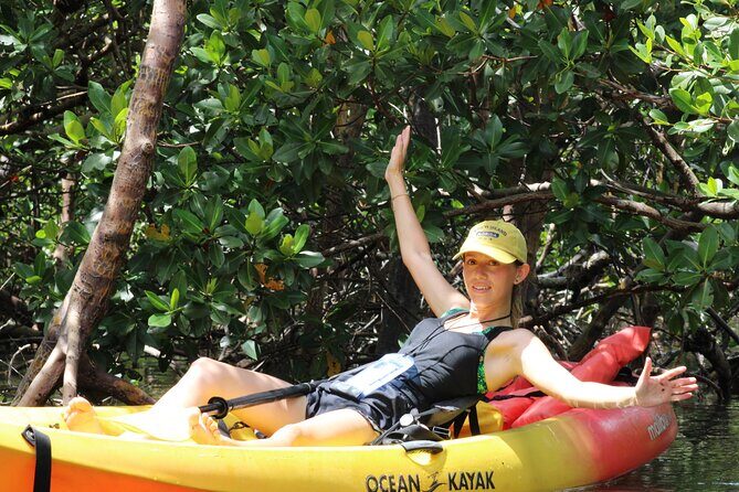Nauti Exposures - Kayak rental Naples, FL - Exploring the Naples Kayaking Experience in Detail