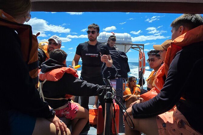 Nautical Adventure in Search of Dolphins - An In-Depth Look at the Dolphin Search Tour