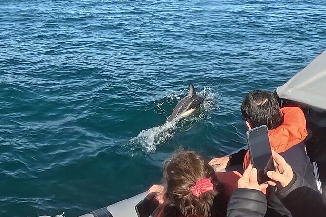 Nautical Adventure in Search of Dolphins - FAQs