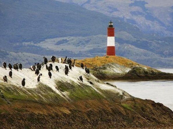 Navigate through the Beagle Channel: Seal, Bird & Penguin Islands - Key Points