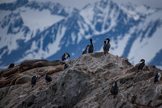 Navigation Beagle Canal to the Lighthouse - What’s Included and What’s Not