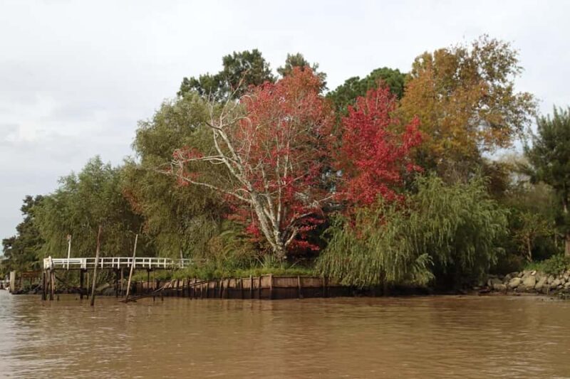 Navigation in Delta of Tigre - Exclusive semi private tour - The Sum Up