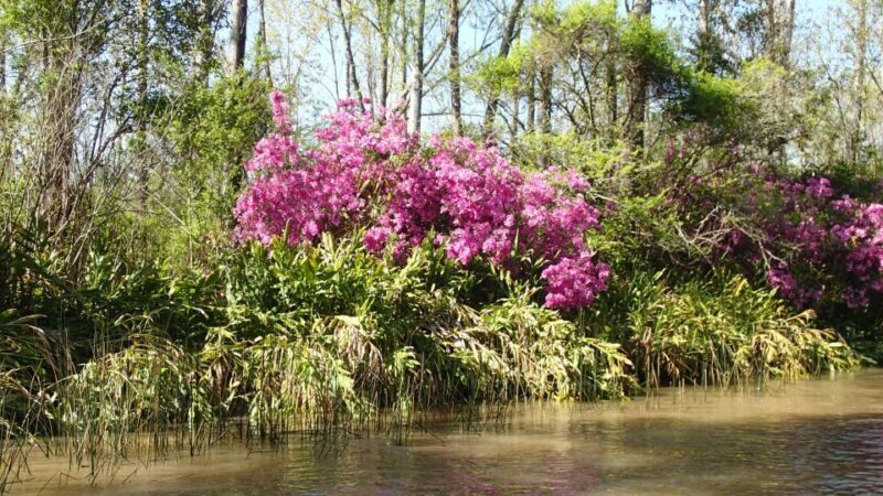 Navigation in Delta of Tigre - Exclusive semi private tour - Frequently Asked Questions