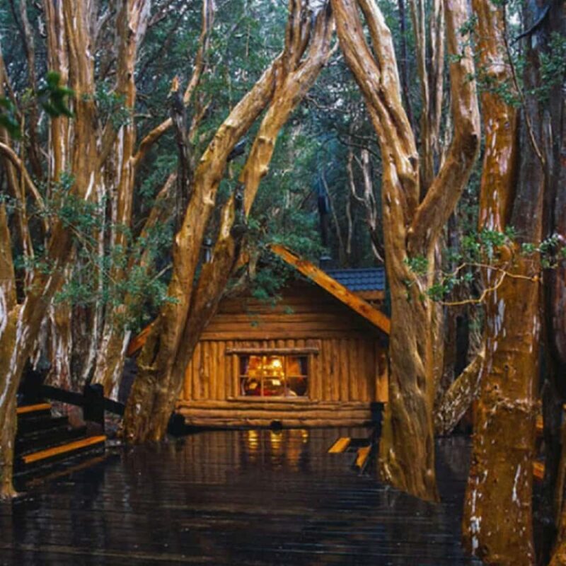 Navigation through Isla Victoria and Bosque de Arrayanes - Navigation through Isla Victoria and Bosque de Arrayanes: A Detailed Review