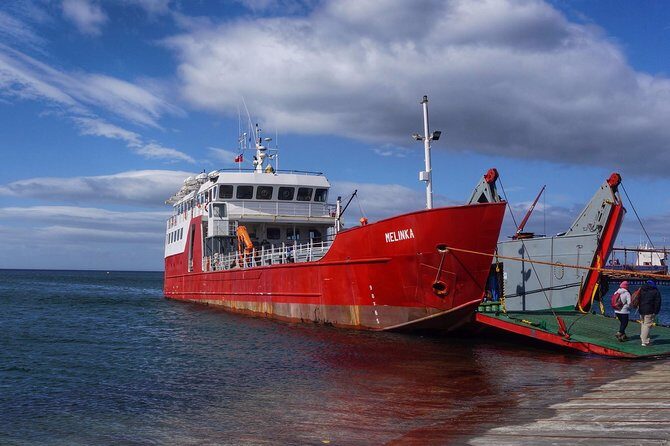 Navigation to South Fjords & Magdalena Island - Navigation to South Fjords & Magdalena Island: A Close Encounter with Patagonia’s Wildlife