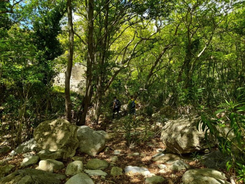 Naxos: A Riverbank Adventure (Kinidaros - Eggares villages) - Detailed Itinerary Breakdown