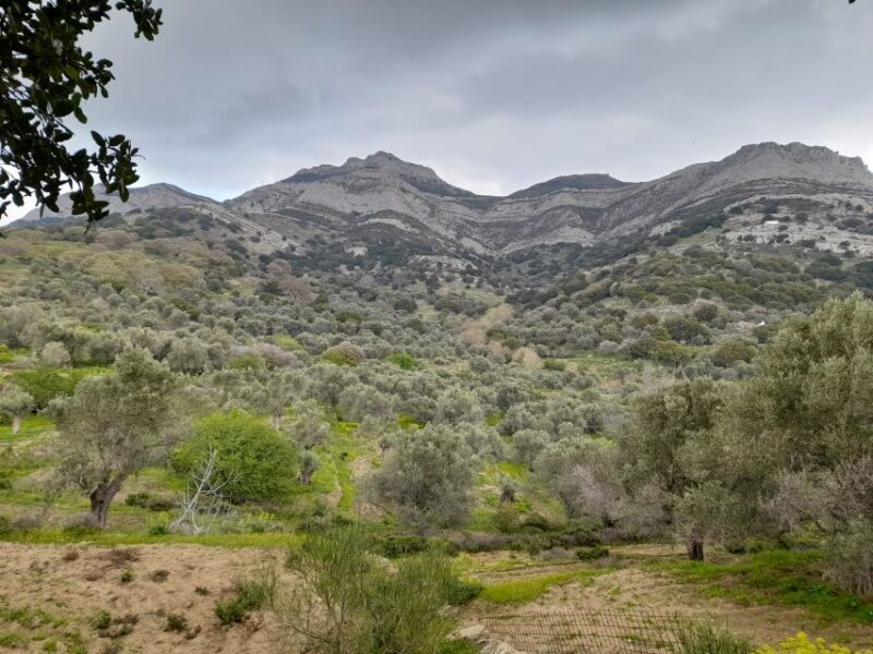 Naxos: Countryside hike among villages & Byzantine churches - An In-Depth Look at the Naxos Countryside Hike